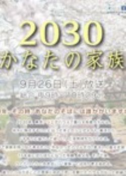 2030˰ļ