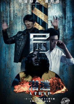 2ǱDVD