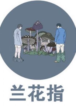 ָ