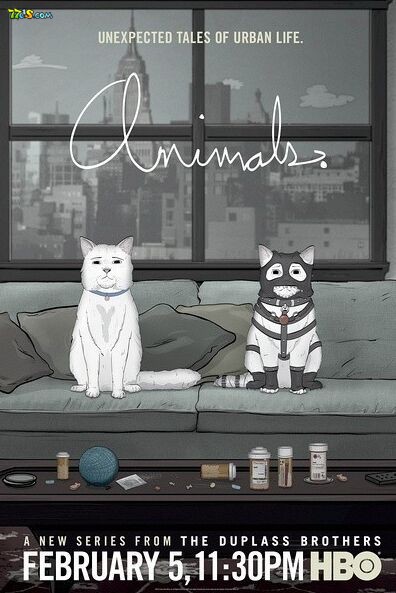 ŦԼƨ ڶ