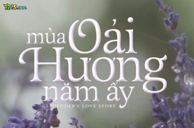 ޹²